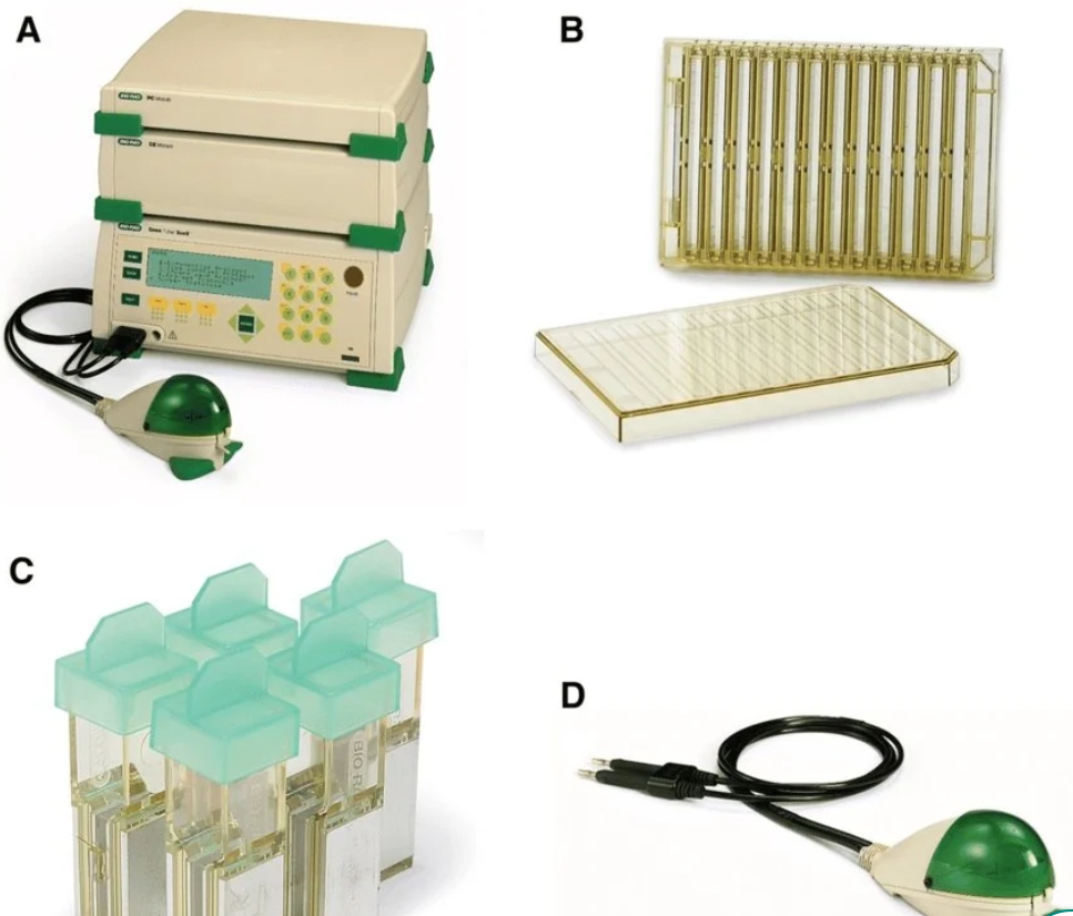 伯樂電穿孔系統擦操作指南